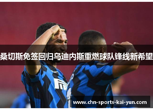 桑切斯免签回归乌迪内斯重燃球队锋线新希望 桑切斯免签回归乌迪内斯重燃球队锋线新希望