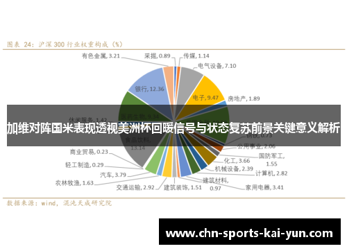加维对阵国米表现透视美洲杯回暖信号与状态复苏前景关键意义解析