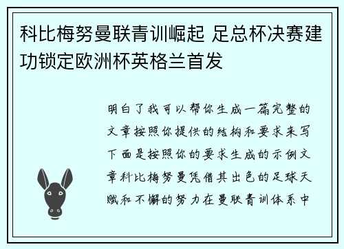 科比梅努曼联青训崛起 足总杯决赛建功锁定欧洲杯英格兰首发